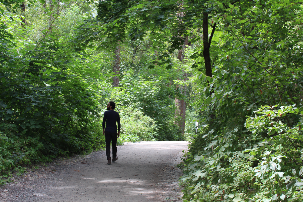 hiker walking down a trail